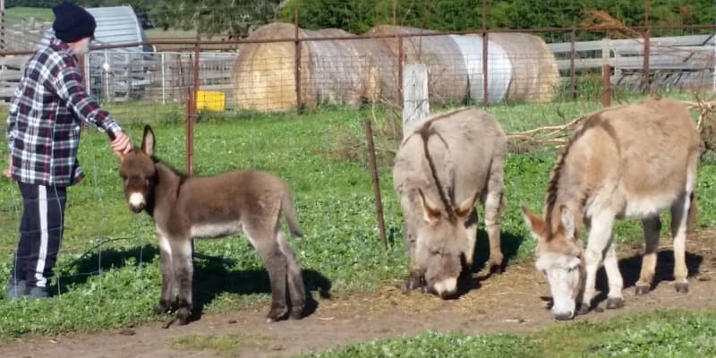 Photo by Jenni-Dawn B.