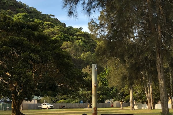 Photo by _haere.ki.waho_