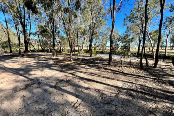 Photo by DaveDuff    CampInNature