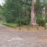 Photo by prashant h.