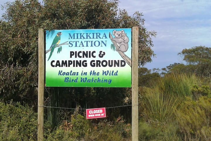 Photo by Helen de la Perrelle