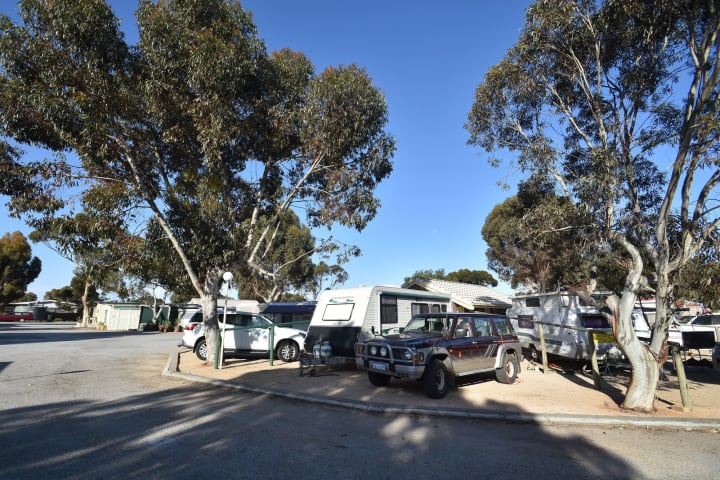 Photo by deborah and Mark robertson managers of Highview holiday Village in Ardrossan