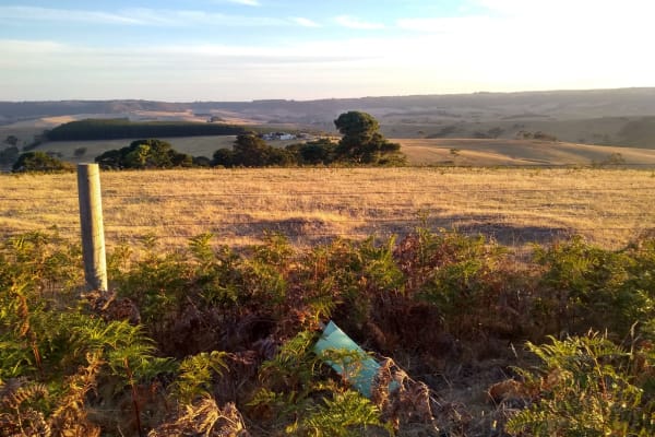 Photo by Lien Van Duppen