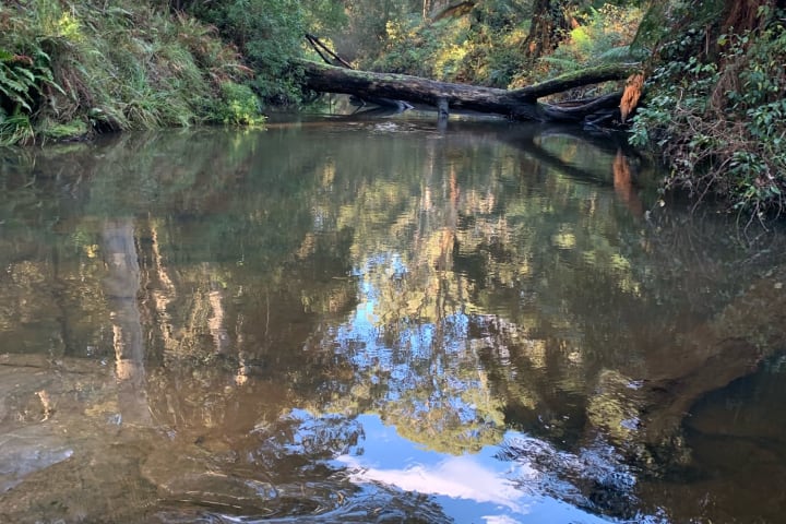 Photo by Brooklyn E.