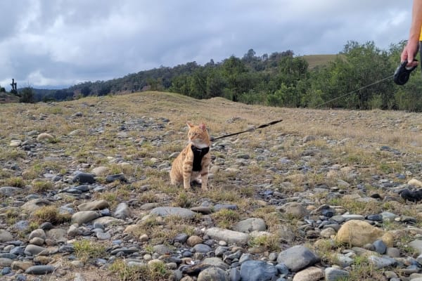 Photo by Sanchia Keeleigh Gray