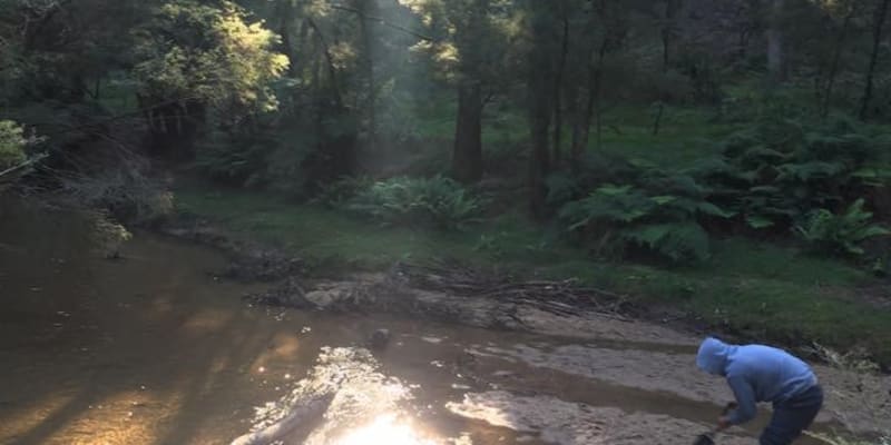 Photo by Tracy N David Ross