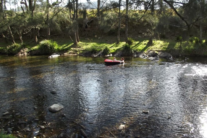 Photo by Tracy N David Ross