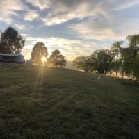 Photo by Nott Chutima Phayungporn