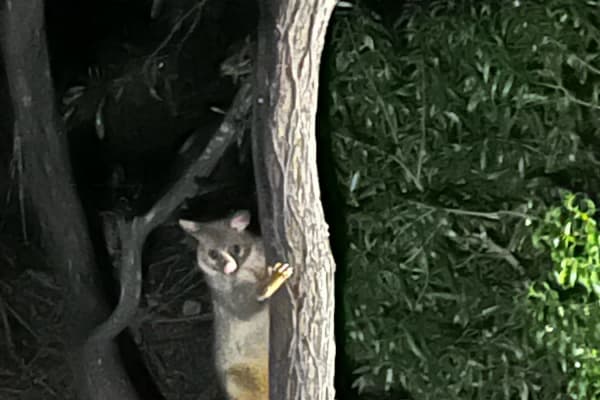 Photo by Ben + Elana