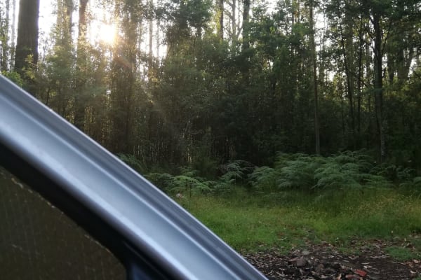 Photo by Christina W.