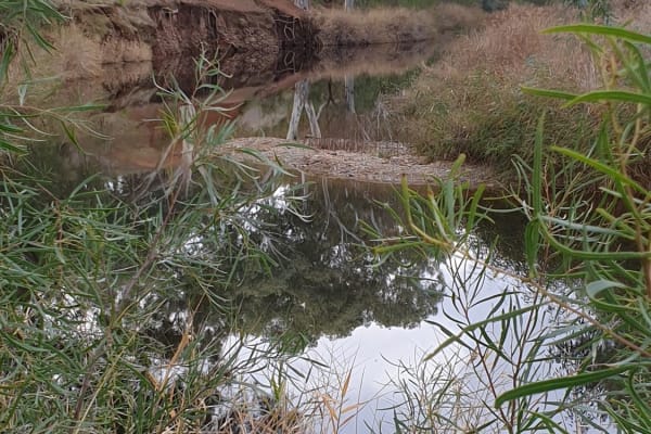 Photo by Kristine S.