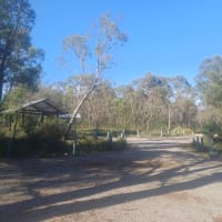 Photo by ★Mimosa☆Turlinjah★