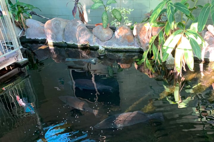 Photo by Corporate to Caravan