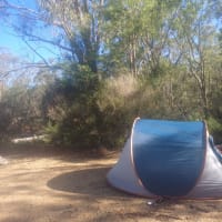 Photo by ★Mimosa☆Turlinjah★