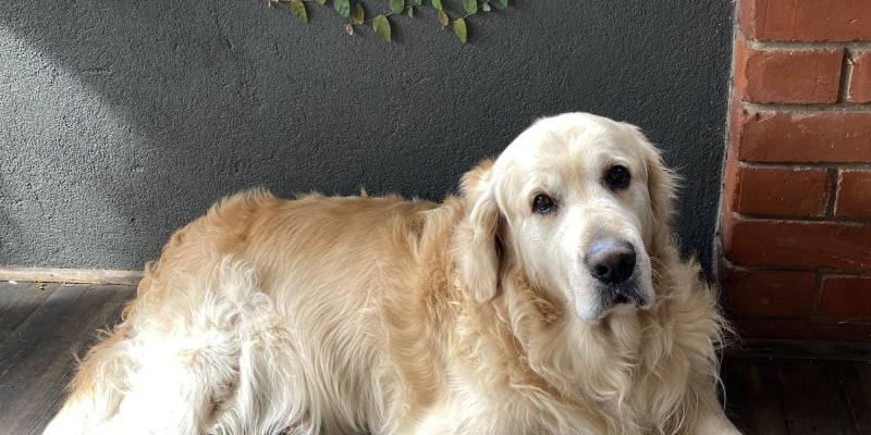 Photo by Barry and Di O'Connor