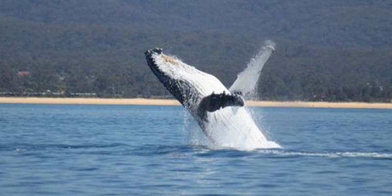 Photo by Caroline B.