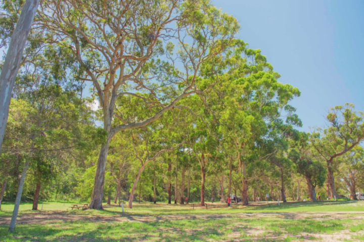 Photo by Tathra Beach Motor Village