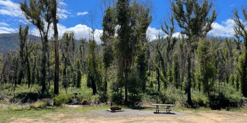 Photo by red truck reviews