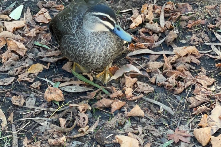 Photo by Camp lover 😍