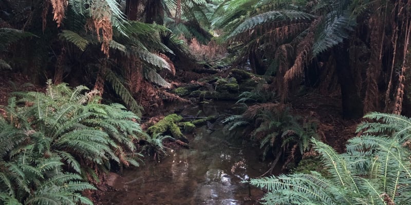 Photo by Muhammad T.