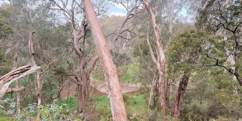 Photograph of Top 10 free campsites near Greenwald, VIC