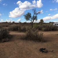 Photo by Christina T.