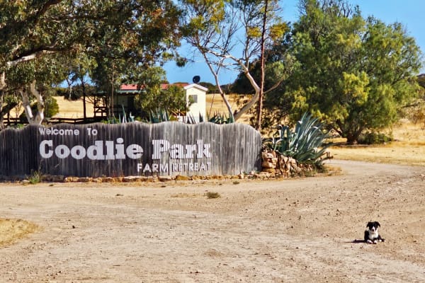 Photo by Coodlie Park Eco Retreat