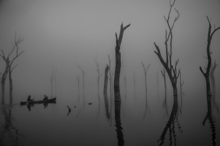 Photo by Genazzano R.