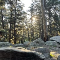 Photo by The Midweek Escape Artist