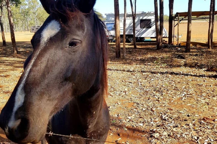 Photo by My Rig Adventures