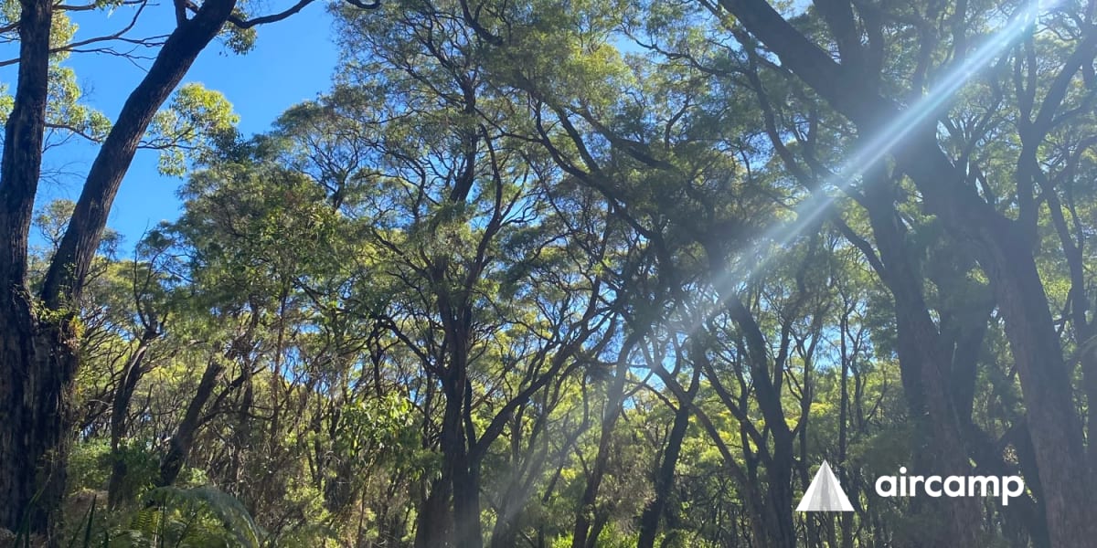 Boranup Campground