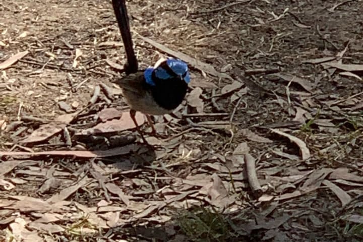 Photo by Gabrielle E.