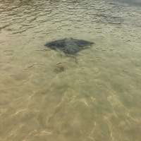 Photo by Benjamin A.