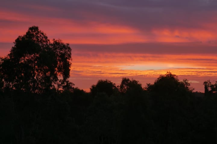 Photo by Marcia Christine Baker