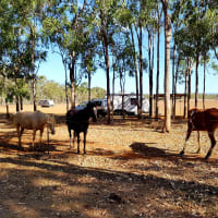 Photo by My Rig Adventures