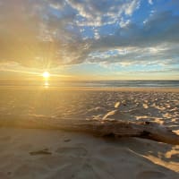 Photo by Celeste and Dan