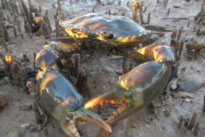 Photo by jennifer b.