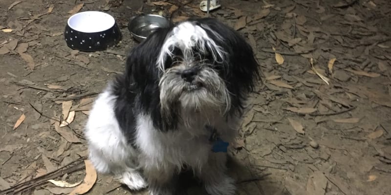 Photo by Harry James Nosaran