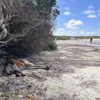 Photo by Chelsea and Jye