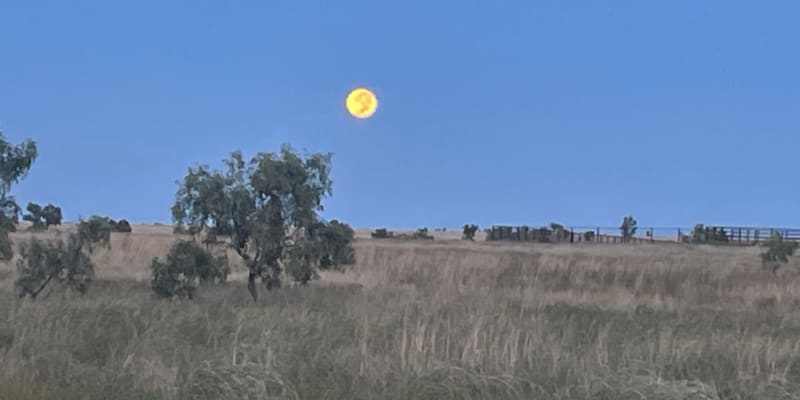 Photo by Petrice  Kotua