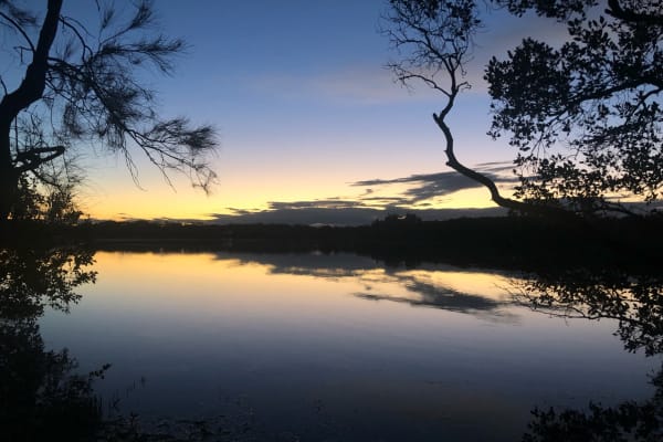 Photo by Mitchell H.