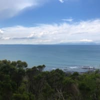 Photo by [deleted user]