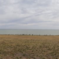 Photo by Olivia Bataligin Averkin