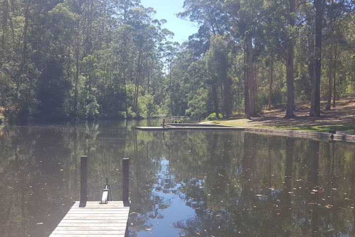 Photo by Stallion2454