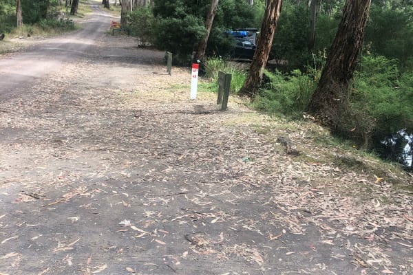 Photo by Melissa Nyadit Koth