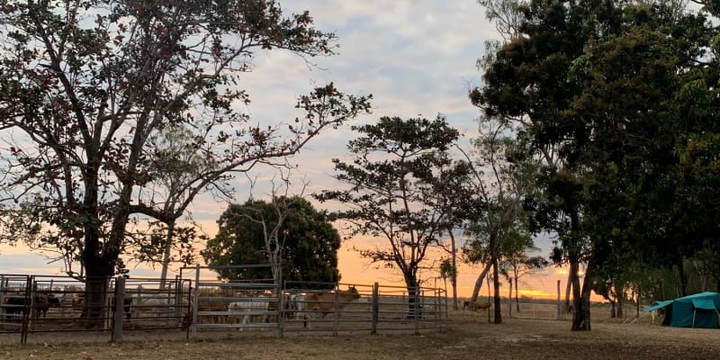 Photo by Corporate to Caravan