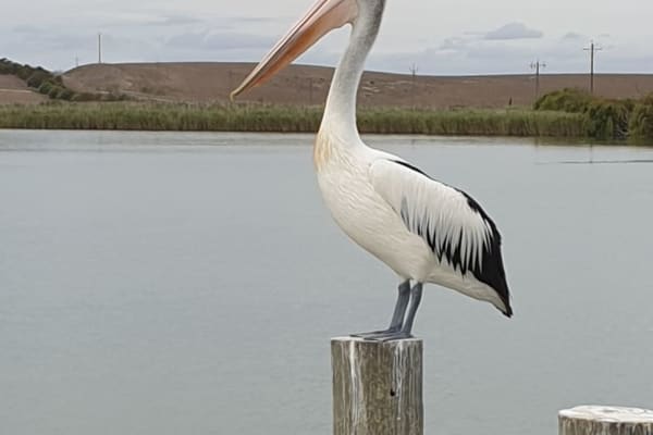 Photo by Ryse Marie Callaghan