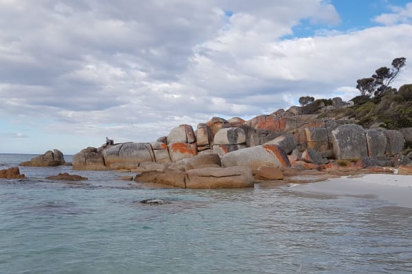 Photo by Christopher H.