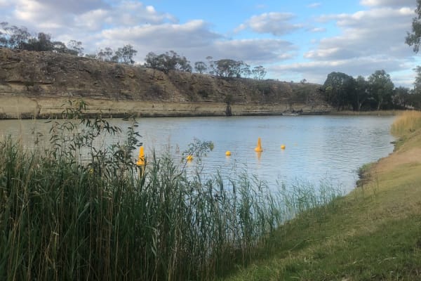 Photo by Amanda Jain Hornett