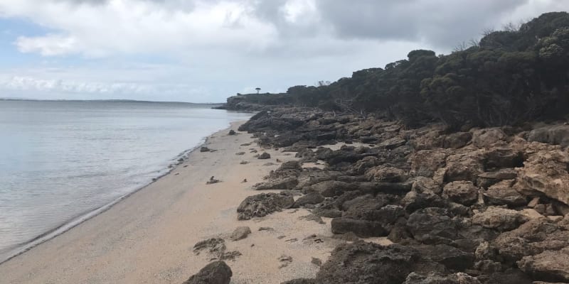 Photo by Michelle C.